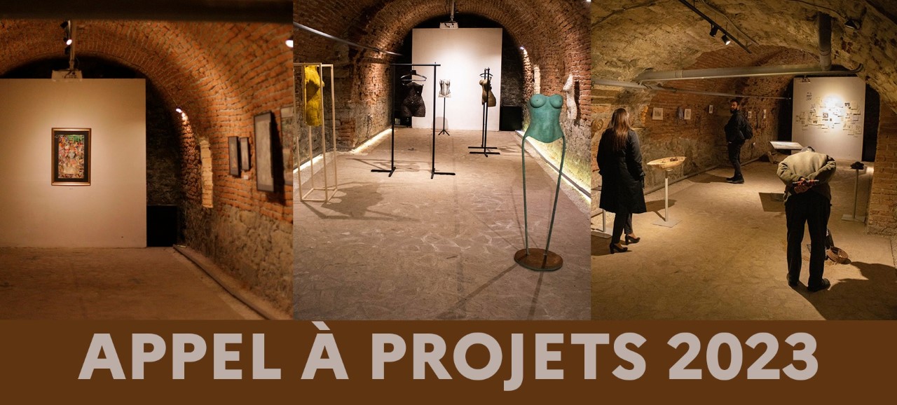 Apel pentru proiecte artistice la Institutul Francez