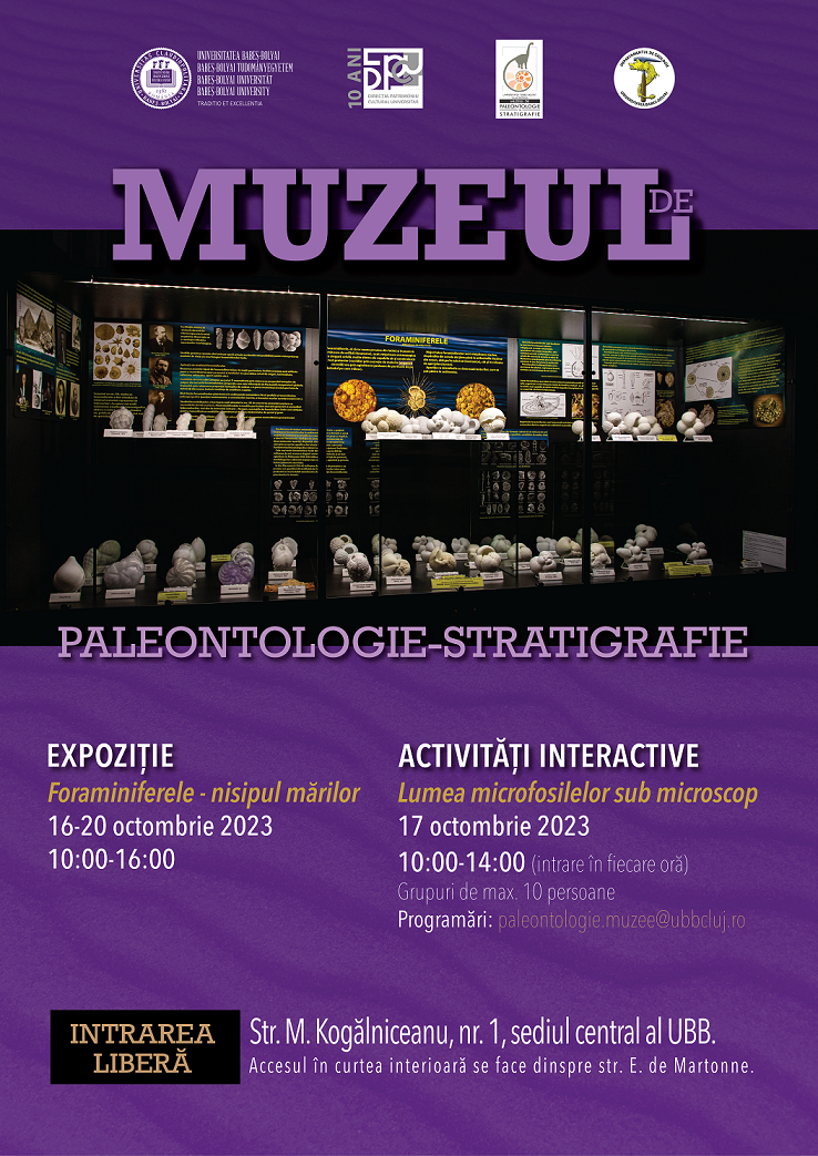 Expoziție și activități interactive la Muzeul de Paleontologie-Stratigrafie