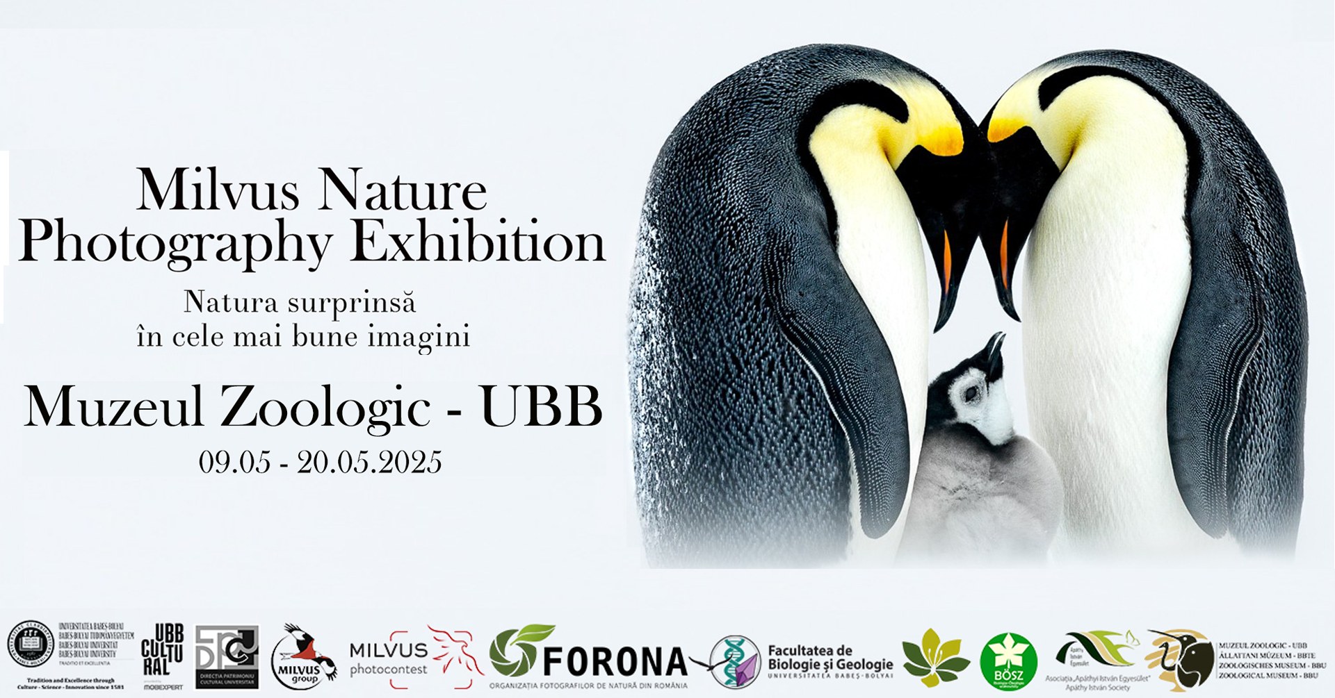 Expoziție temporară: Milvus Nature Photography Exhibition – Natura în cele mai bune imagini