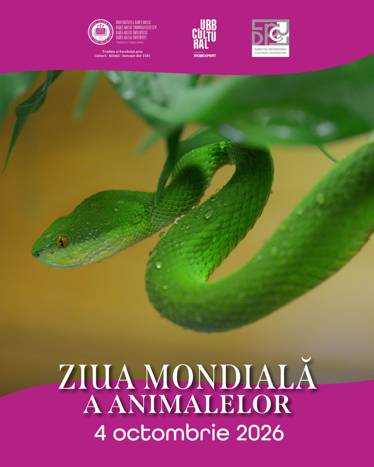 🐾 Ziua Mondială a Animalelor, sărbătorită la UBB 🐾